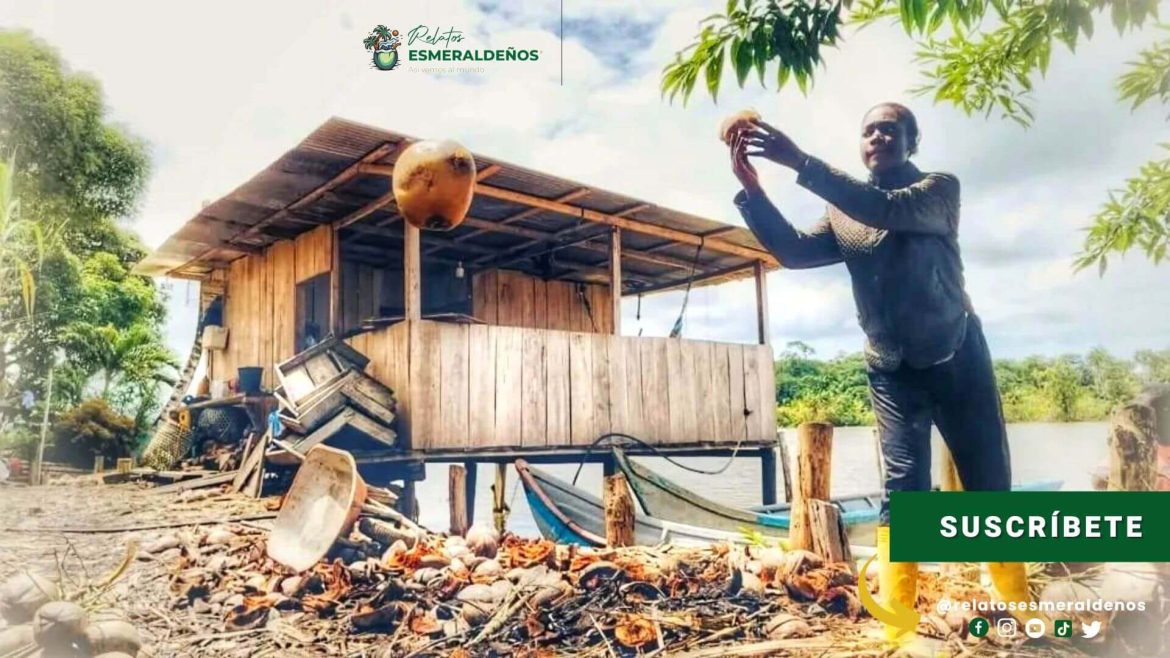 Afros y awá y su resistencia a la crisis climática